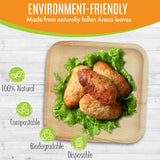 Raj Eco Compostable Palm Leaf Plate Like Bamboo Plates Disposable - 10 Inch Square 100 Party Plates, Natural Wooden, Eco-Friendly, Fancy Biodegradable