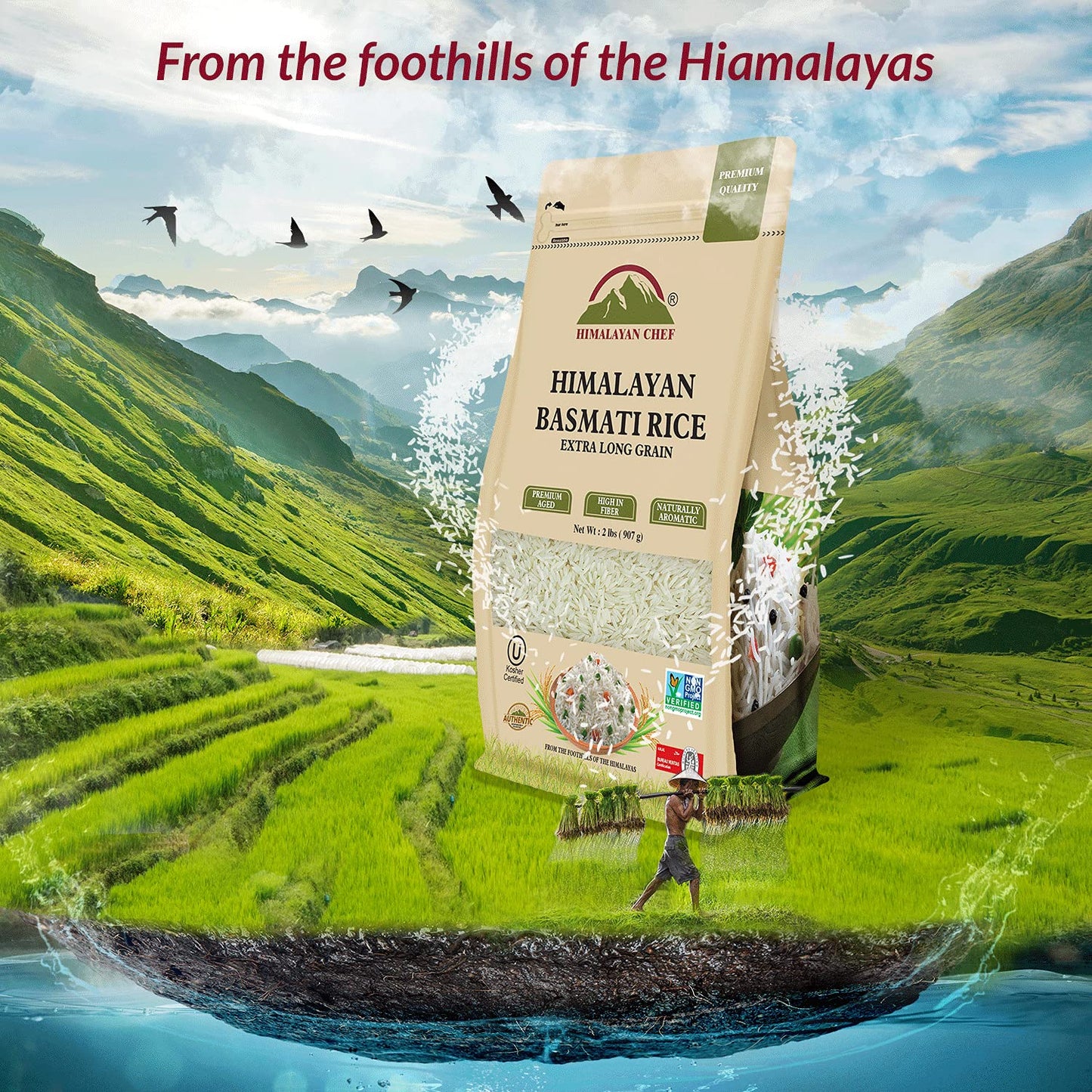 Himalayan Chef Regular Basmati Rice Organic - 2 lbs