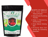 AYURVEDASHREE Hibiscus Flower Powder 200 Gm I Hibiscus Sabdariffa I Gurhal Phool Powder I Hair Mask I Refreshing Tea I Natural Herb I NON GMO I Vegan