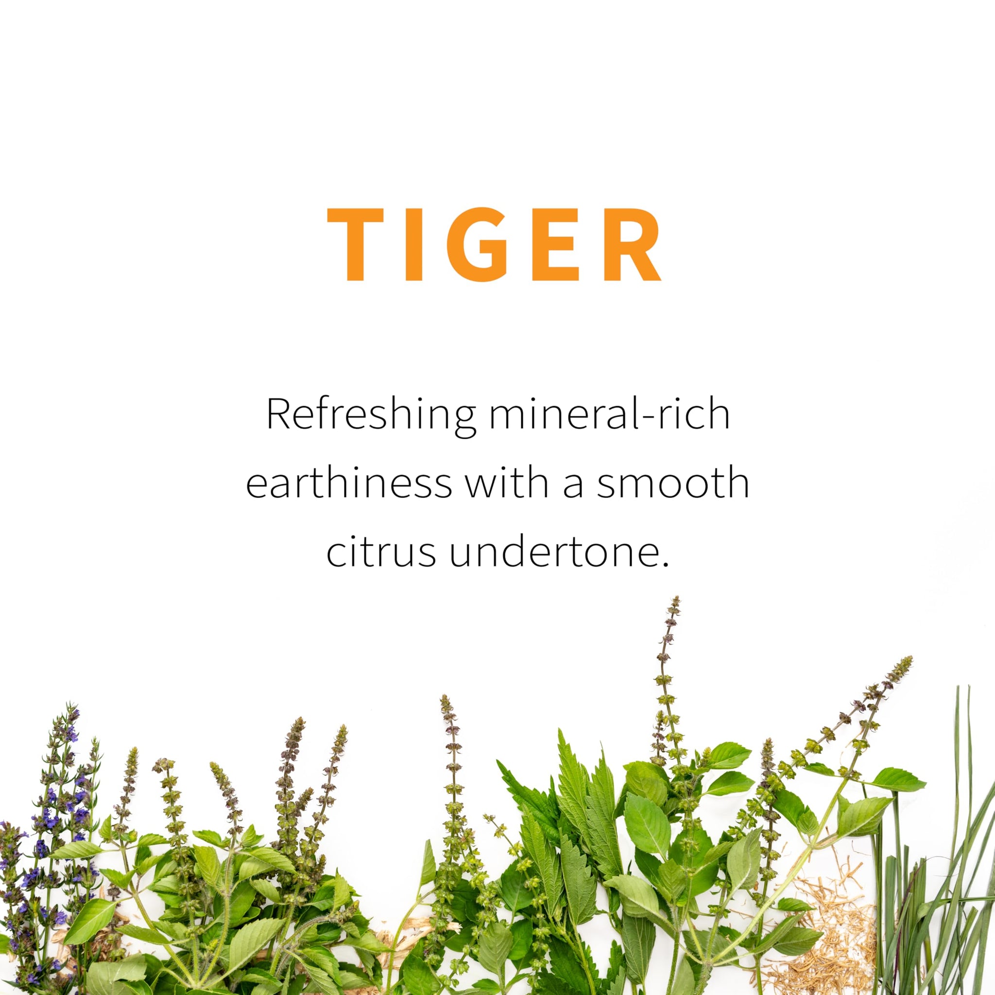 Tiger Herbal Tea | Sacred Blossom Farm | 1.9 oz. Loose Leaf | Energy and Focus* | Minimally Processed Wisconsin-Grown Herbal Tea & Medicinal Herbs |
