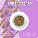 Green Royalty Hierba de Sapo (Mexican Thistle) - Natural Dried Herb for Herbal Tea & Infusions - 4 oz (114 g) Resealable bag