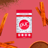 Pur Gum Gum Cinnamon 60pc24