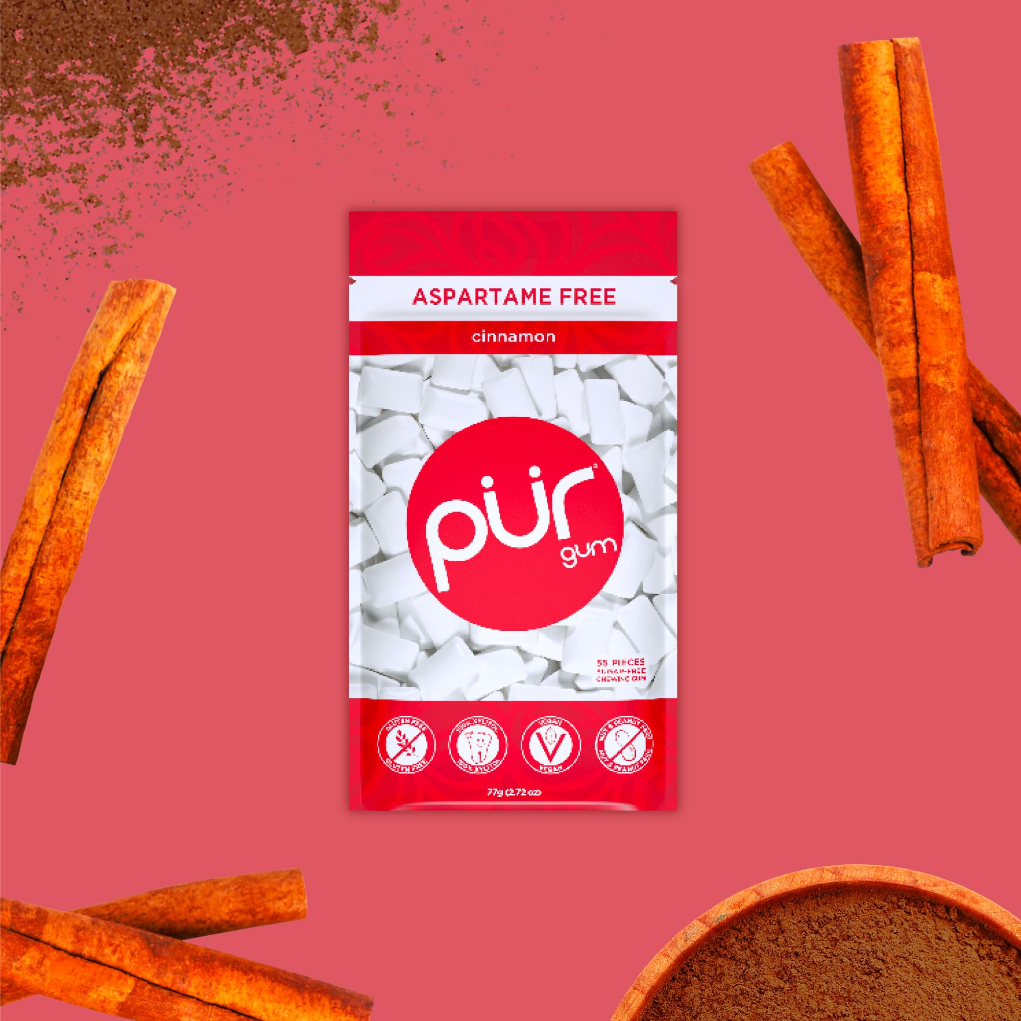 Pur Gum Gum Cinnamon 60pc24
