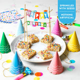 Blake’s Seed Based Crispy Treats - Birthday Cake (6 Count), Nut Free, Gluten Free, Dairy Free & Vegan, Healthy Snacks for Kids or Adults, School Safe