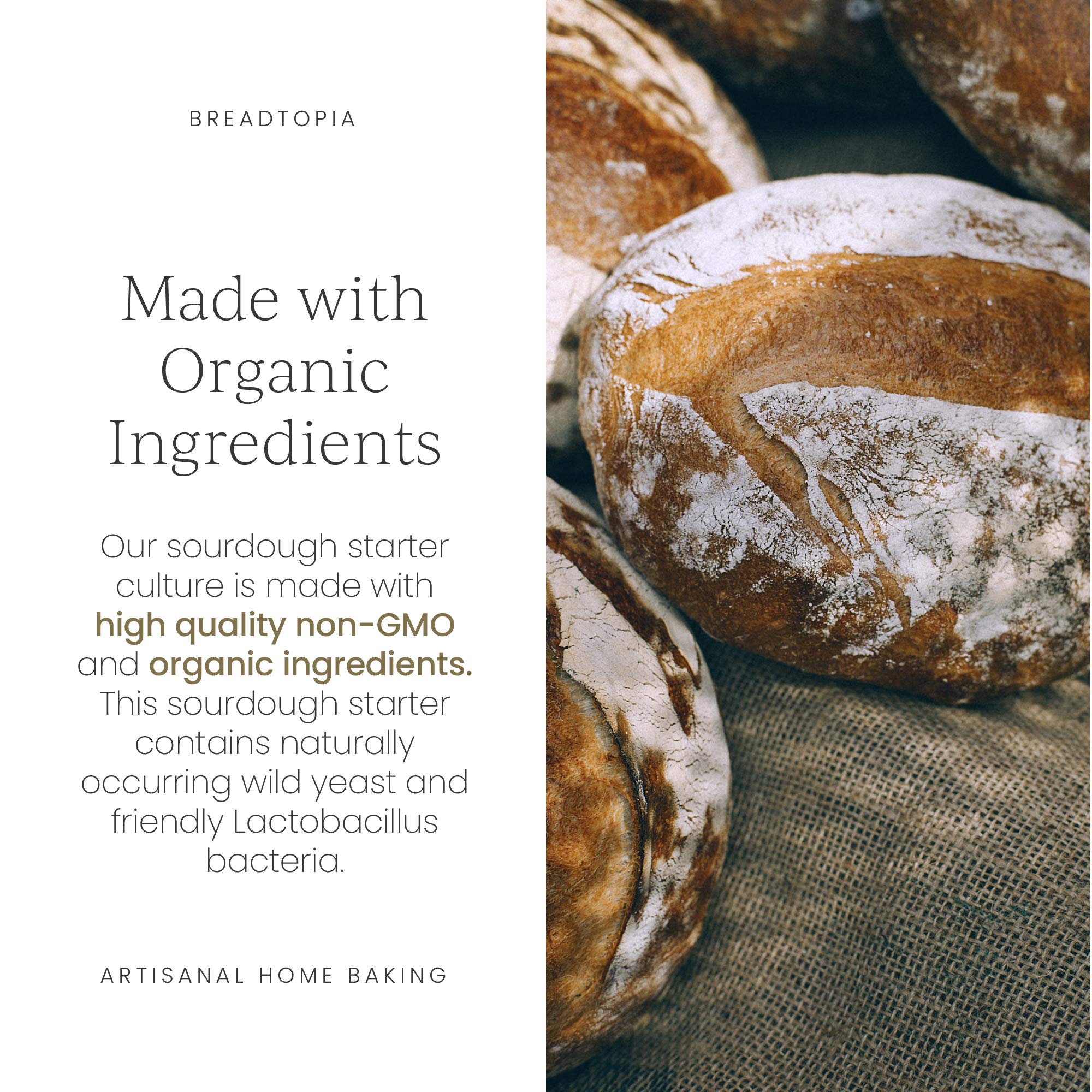 Breadtopia Sourdough Starter | Made from Organic & Non-GMO Ingredients | Easy to Follow Instructions | Make Homemade Sourdough Bread | Sour Dough