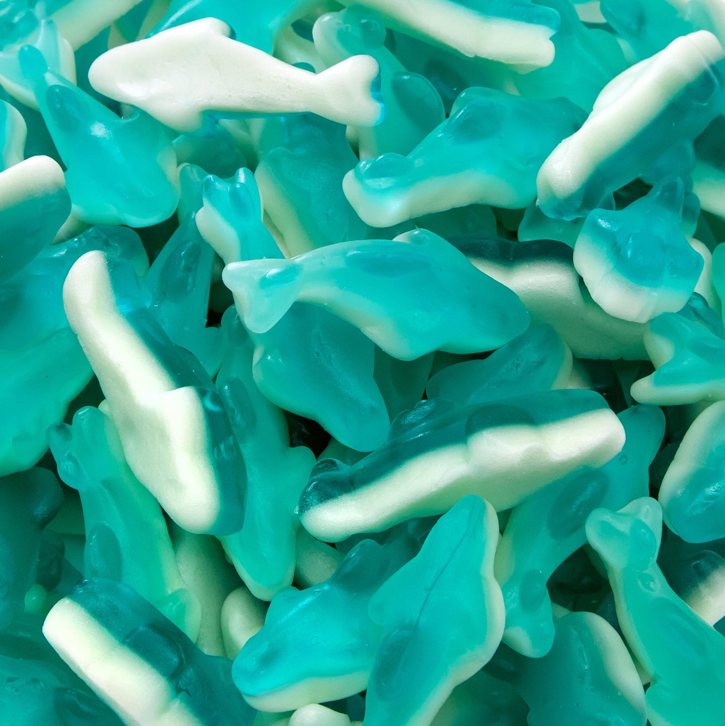 Blue Gummy Sharks | 1-Pound Bag | Dye Free Candy | Shark Gummies for Parties, Buffets, and Goodie Bags | Gummy Fish with Blue Raspberry Flavor | Chewy