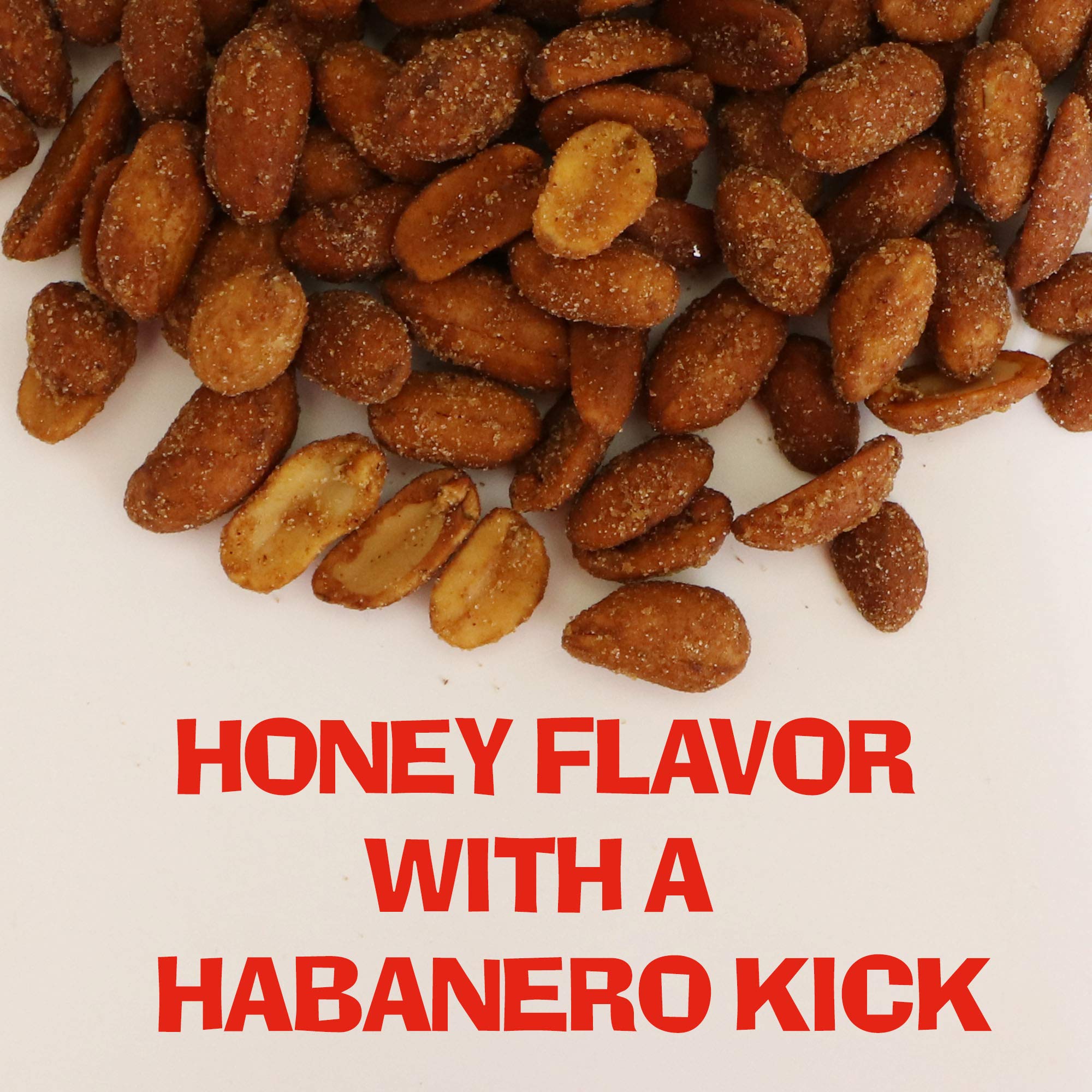 ASS KICKIN' Roasted Spicy Hot Peanuts - 4.25 oz - Ultimate Spicy Gourmet Gift Peanuts - Try if you dare! (Habanero Honey)