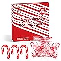 4E's Novelty 25 Pack Mini Candy Canes Bulk - Individually Wrapped, 2-Inch Mini Candy Canes, Classic Peppermint Flavor, for Christmas Treats