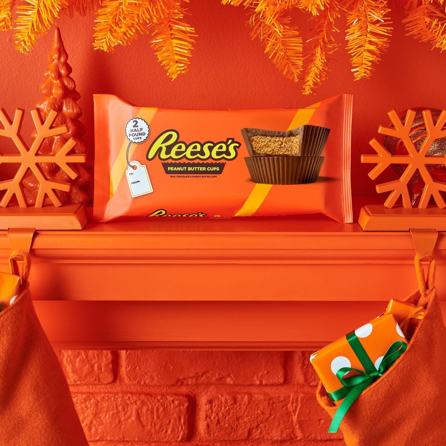 REESE'S Milk Chocolate Half-Pound Peanut Butter Cups, Candy Pack, 16 oz (2 Pieces)