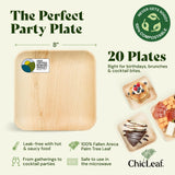 Chic Leaf Palm Leaf Plates 8 Inch - Square Disposable Bamboo-Style Dinnerware, Heavy Duty & Compostable Areca Leaf Serving Dishes for Appetizers