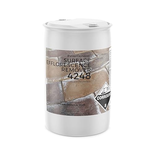 DeckGeneral Efflorescence Remover 4248 - Professional Efflorescence Cleaner for Brick, Concrete & Pavers - Salt Residue & Stain Remover - Outdoor