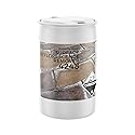DeckGeneral Efflorescence Remover 4248 - Professional Efflorescence Cleaner for Brick, Concrete & Pavers - Salt Residue & Stain Remover - Outdoor