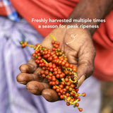Diaspora Spice Co. Aranya Black Pepper Whole Peppercorns - Single-Origin Fresh Harvest Pepper from India, High Aroma, Bold Flavor for Cooking