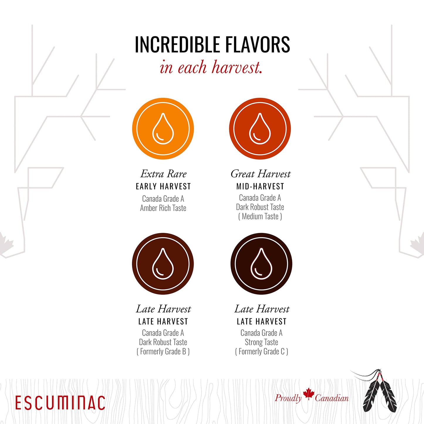 Escuminac Very Dark Canadian Maple Syrup Family Size 1L (33.8 fl oz) Canada Grade A - Strong Taste For Cooking - Pure, Organic, Single Origin