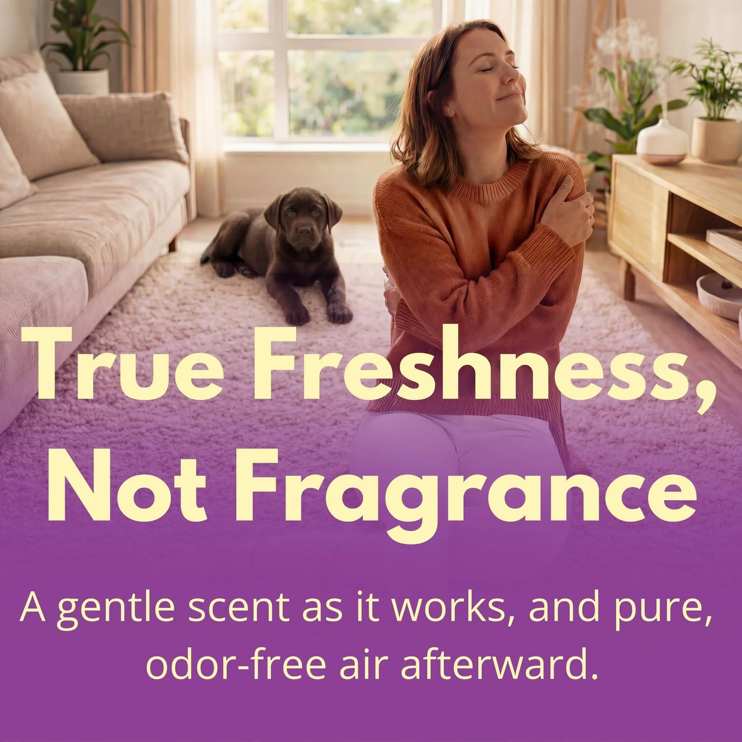 Capture Carpet & Rug Dry Cleaner w/Brush - Carpet Deodorizer & Freshener Powder - Spot & Stain Remover - Pet Odor Eliminator - Fresh Natural Scent