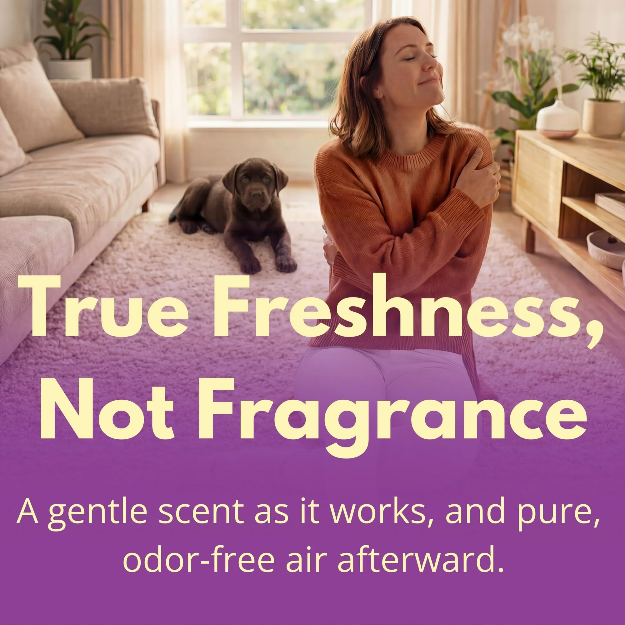 Capture Carpet & Rug Dry Cleaner w/Brush - Carpet Deodorizer & Freshener Powder - Spot & Stain Remover - Pet Odor Eliminator - Fresh Natural Scent