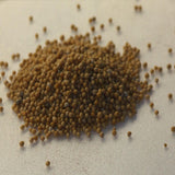 Mustard Seeds Whole - 5.01 lb