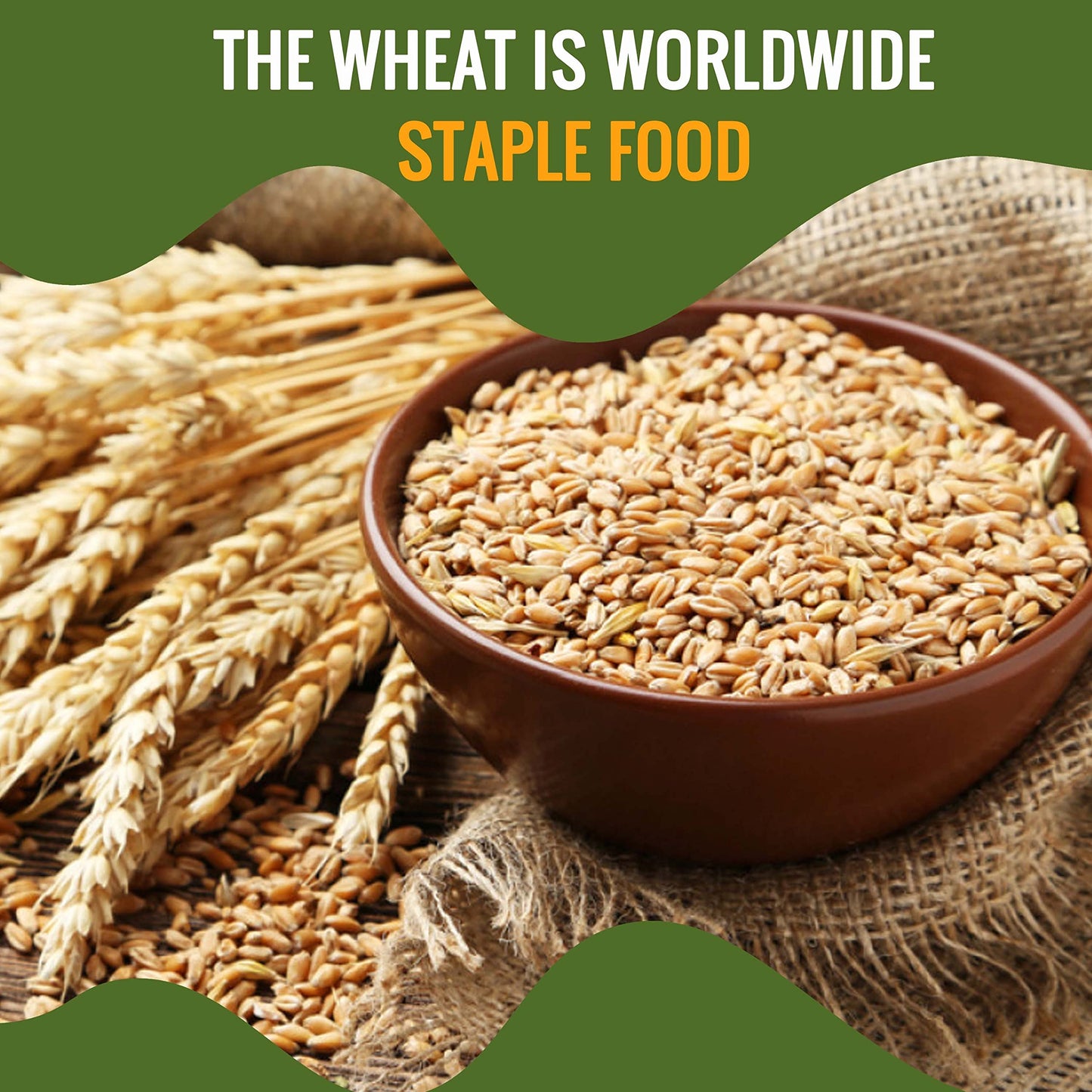 Future Essentials All Purpose White Flour | 100% Natural Whole Grain | Non GMO | Long Term Storage Shelf Stable | Emergency Survival Food Supply