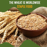 Future Essentials All Purpose White Flour | 100% Natural Whole Grain | Non GMO | Long Term Storage Shelf Stable | Emergency Survival Food Supply