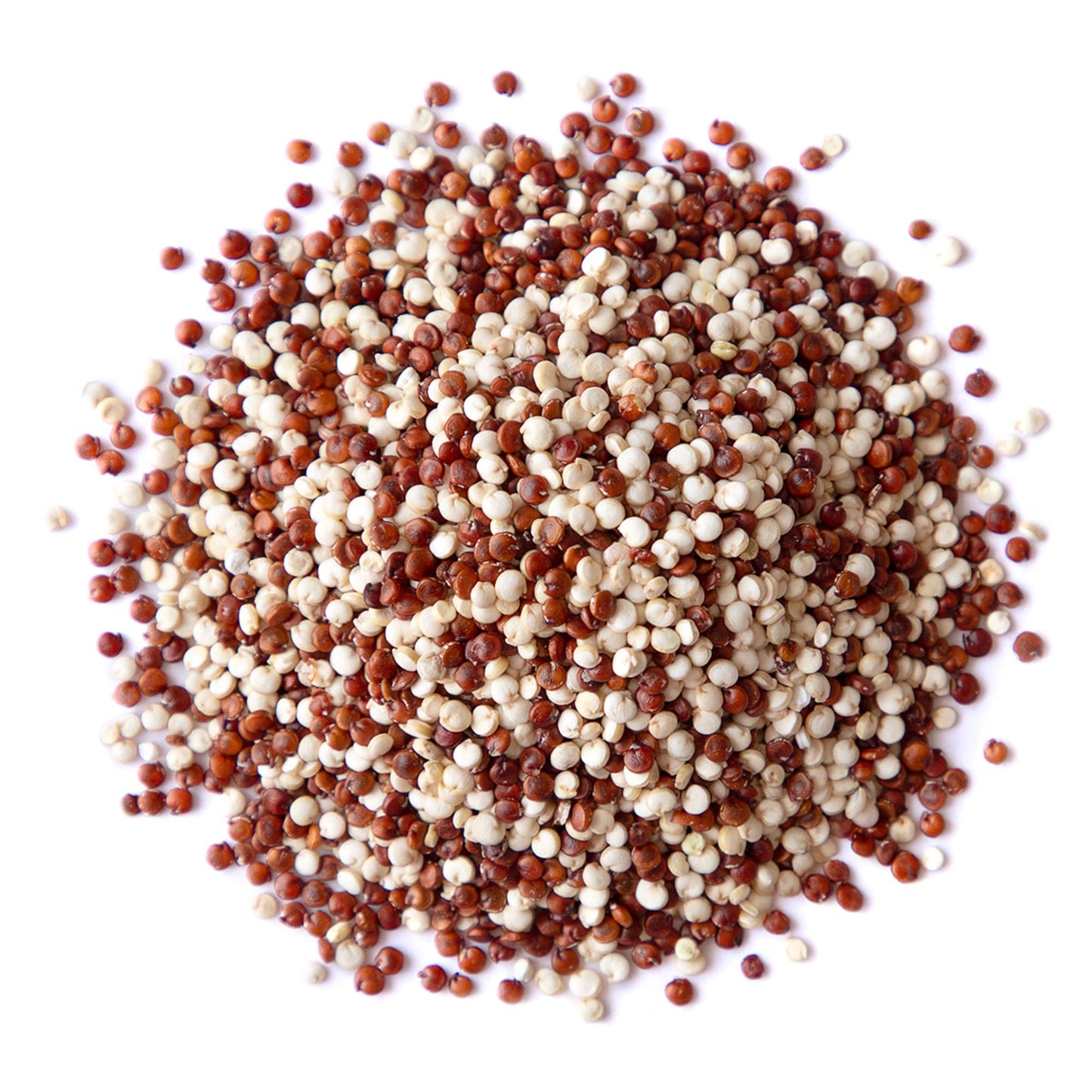 Food to Live Organic Raw White and Red Quinoa Blend, 1.5 Pounds - Whole, Nutritious, High in Protein and Fiber, Perfect for Salads and Smoothies, Non-GMO, Vegan, Kosher, Bulk