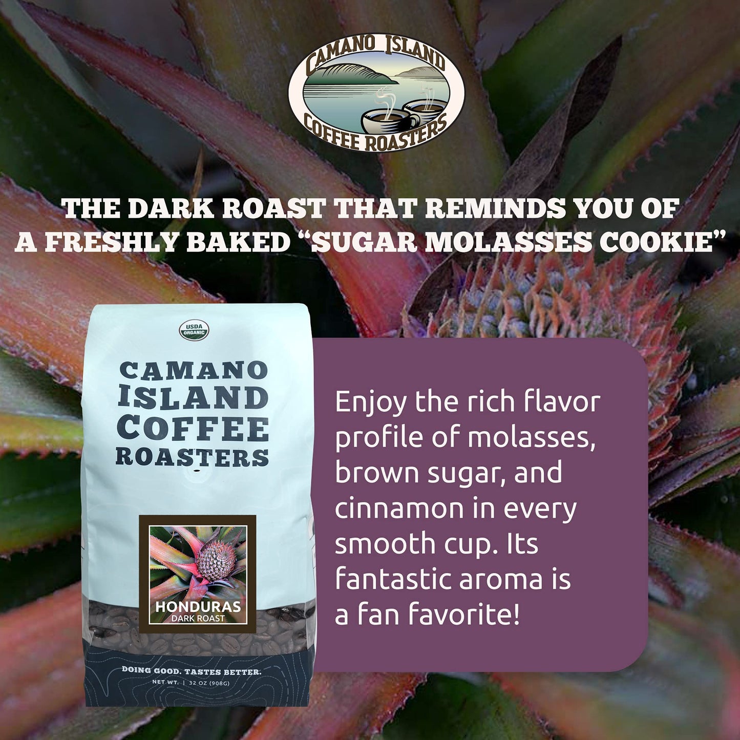 Camano Island Coffee Roasters Roasters Honduras Dark Roast, Ground 2lb, Fresh Small Batch Roasted, USDA Organic, Fairly Traded, Shade Grown Top 1%