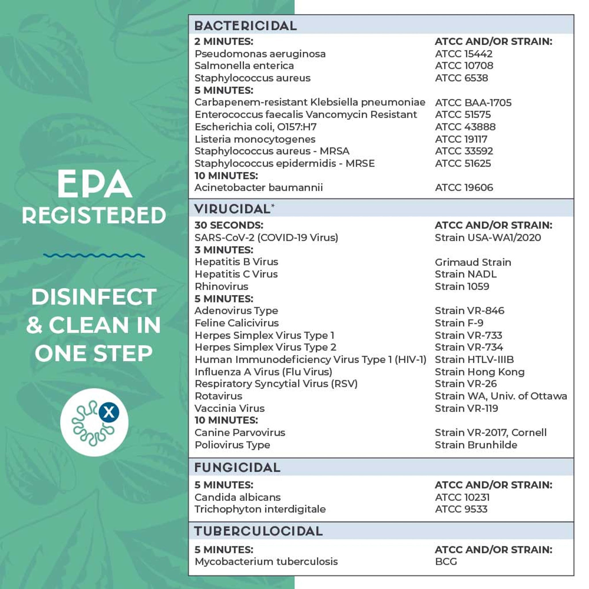 Zogics ecoPRO Plant-Based Disinfecting Wipes - Eco Friendly Wipes for Cleaning and Disinfecting Surfaces, Durable, Gentle, & Effective (Pack of 4)