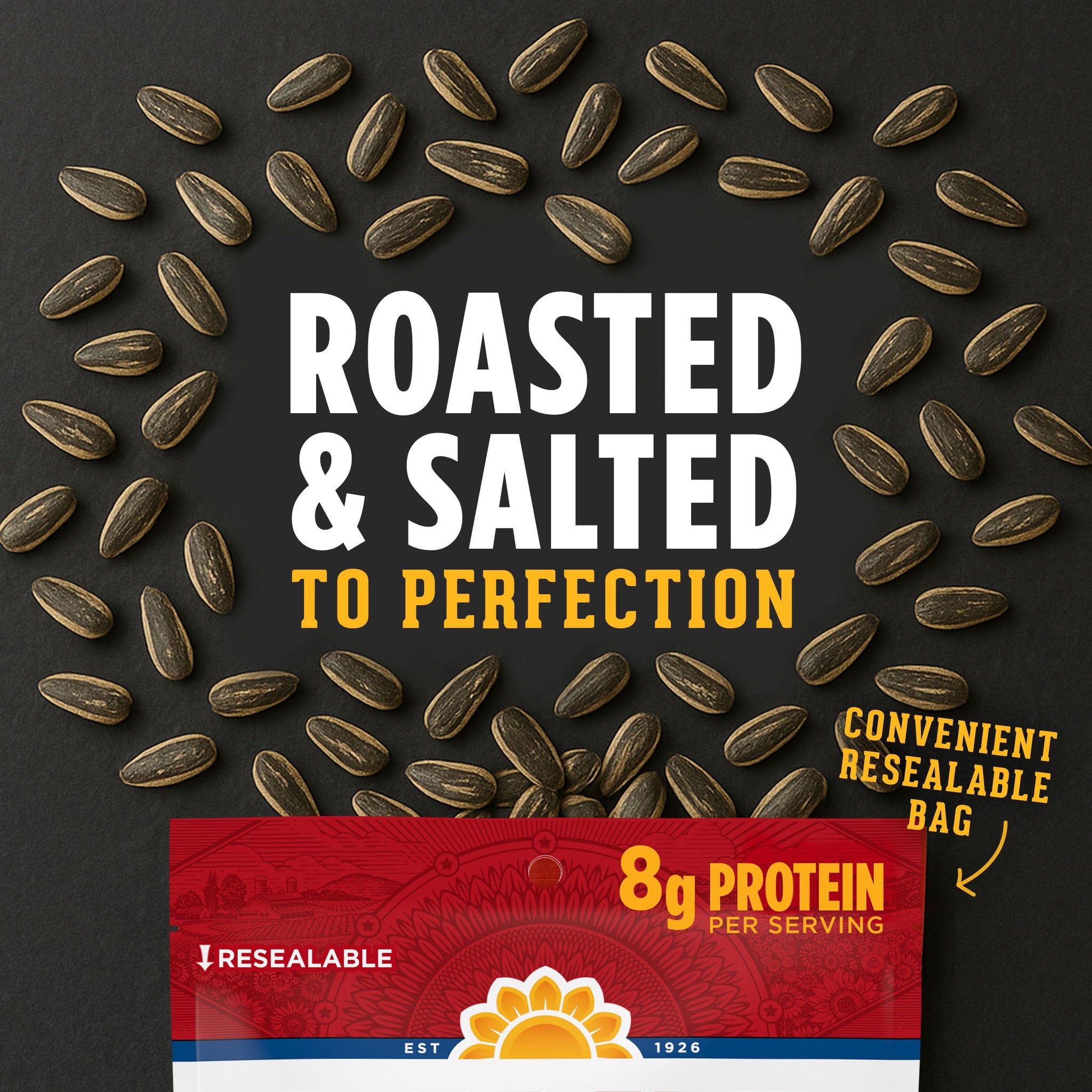 DAVID SEEDS Roasted and Salted Ranch Jumbo Sunflower Seeds, Keto Friendly, 5.25 oz, 12 Pack