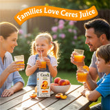 Ceres Peach Juice Blend, 3-Pack - 100% Natural, Rich in Vitamin C, No Added Sugar, Artificial Colors, or Flavors, Kosher Certified, 33.8 Oz Ea (1