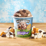 Ben & Jerry's, Non Dairy Phishfood Ice Cream, 16 Fl Oz