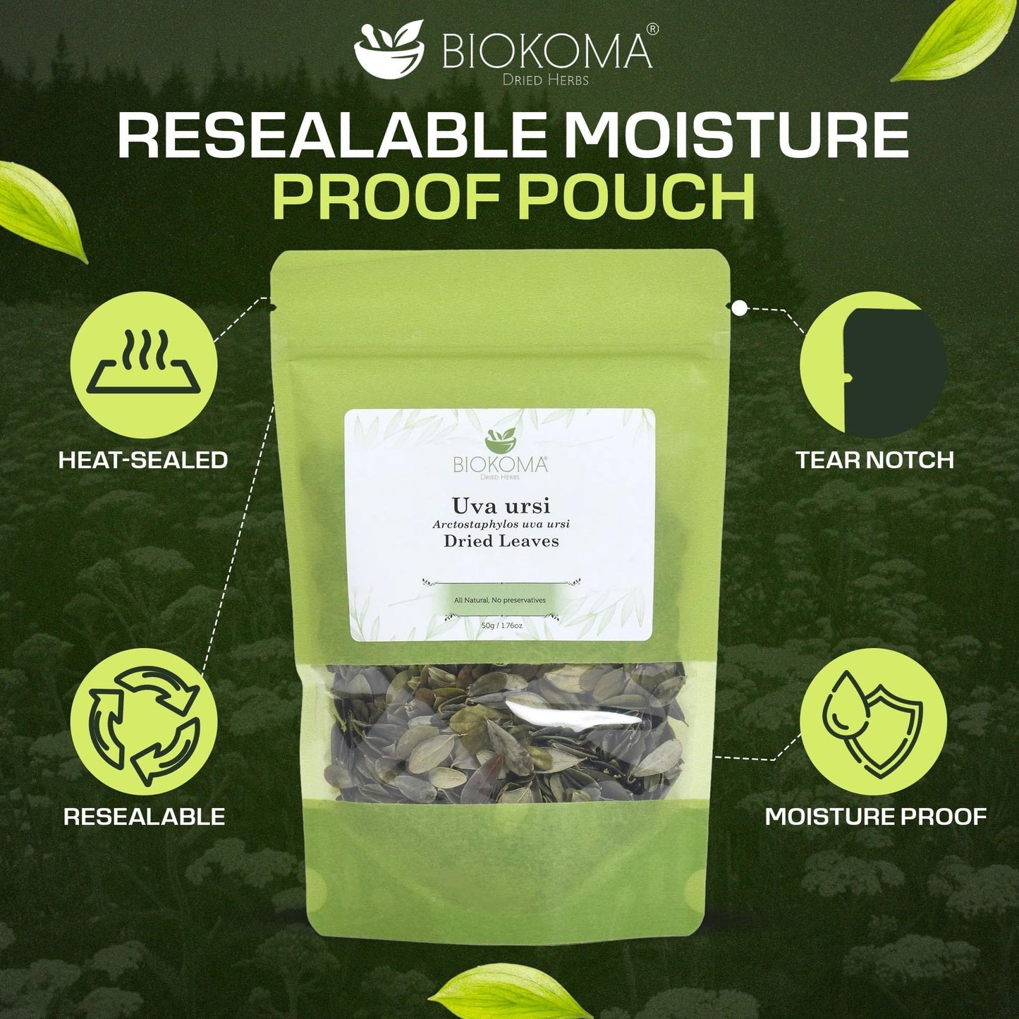 Biokoma Uva Ursi Dried Leaves 50g 1.76oz in Resealable Moisture Proof Pouch - Herbal Tea, No Additives, No Preservatives, Kosher