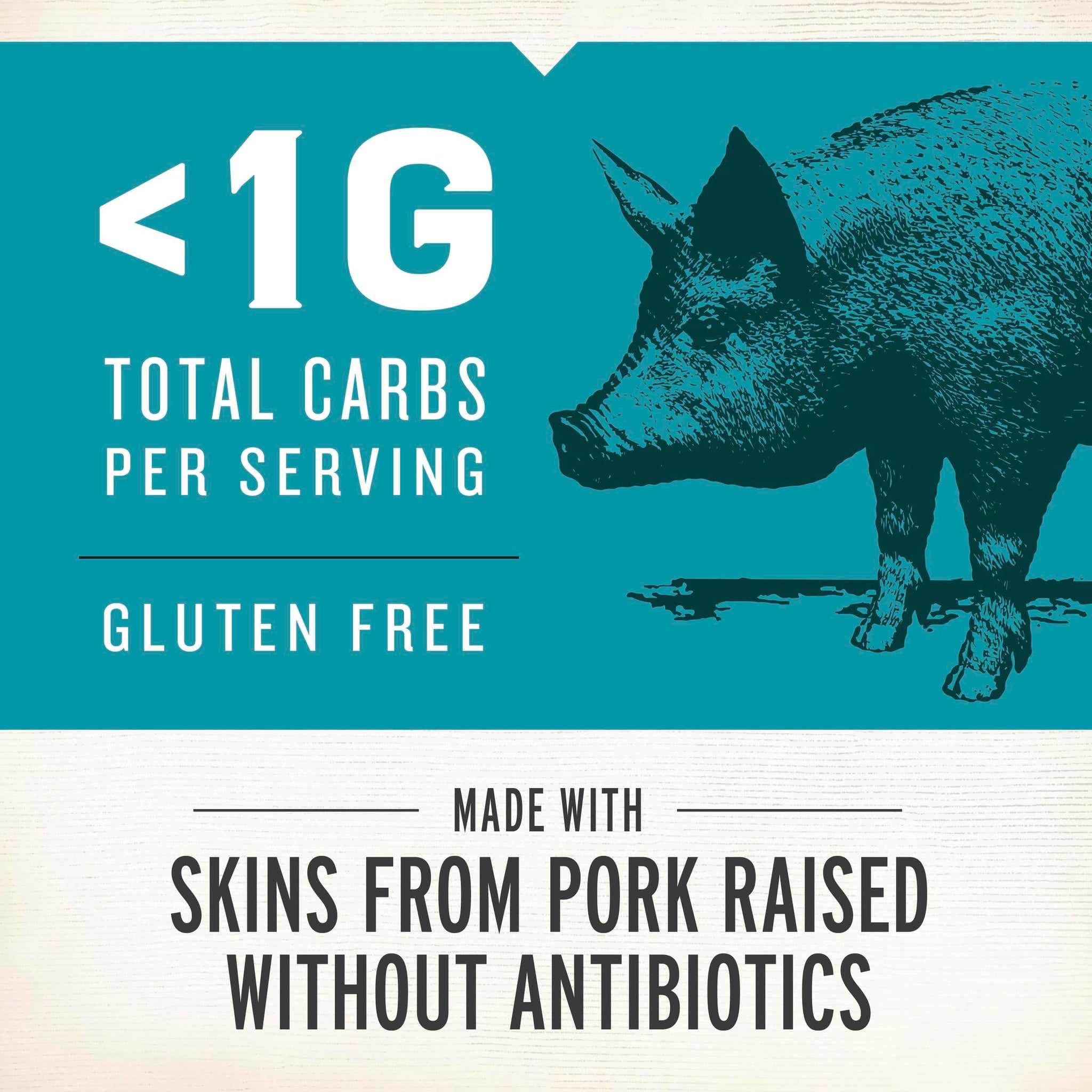 EPIC Sea Salt and Vinegar Pork Rinds, Keto Friendly, Protein Snacks, 2.5 oz