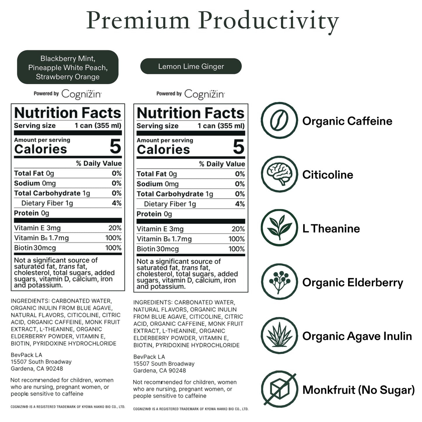 STAED Organic Energy Drinks, Clean Natural Productivity Drink with Cognizin® Citicoline & L-Theanine, Sparkling Functional Beverage, Clean Caffeine