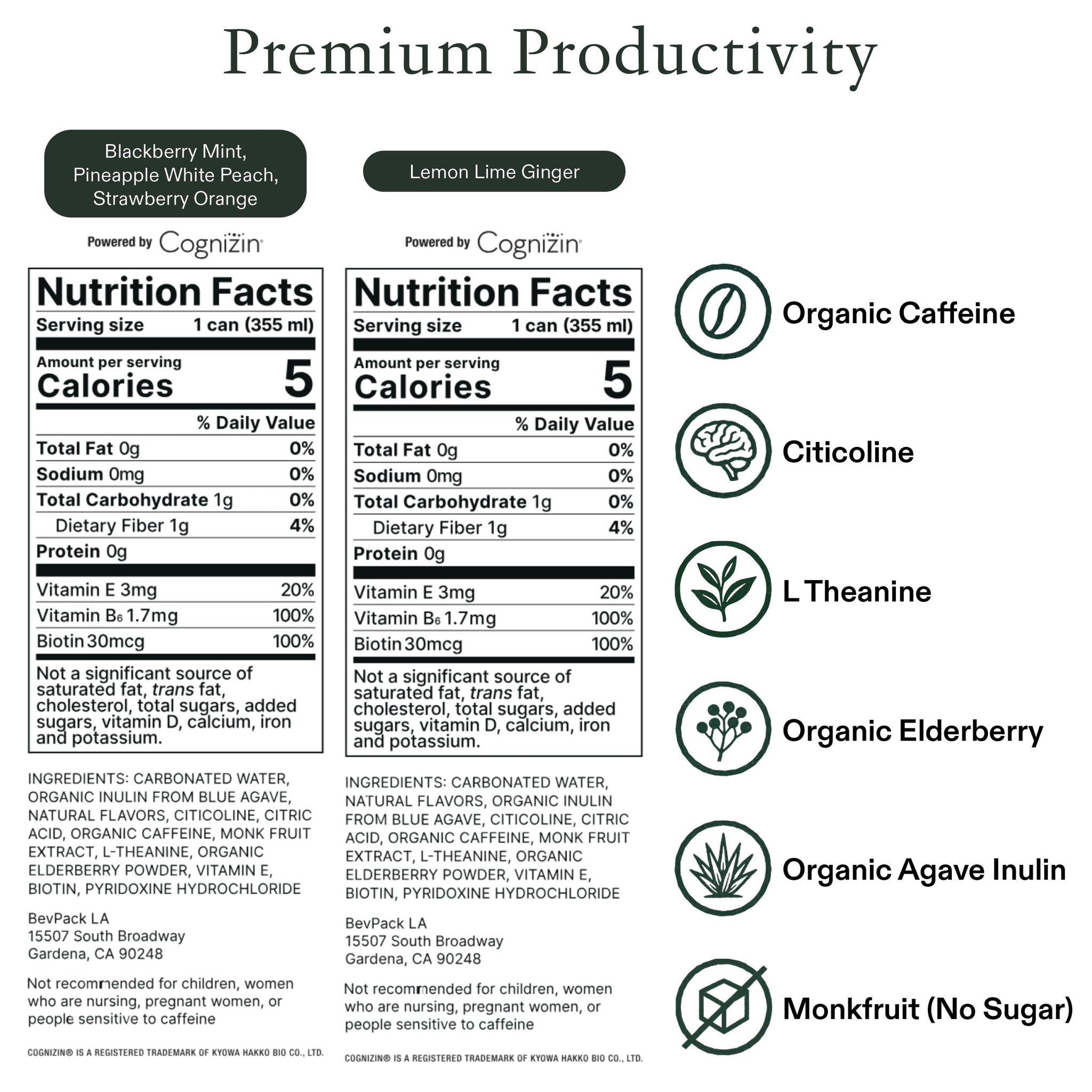 STAED Organic Energy Drinks, Clean Natural Productivity Drink with Cognizin® Citicoline & L-Theanine, Sparkling Functional Beverage, Clean Caffeine
