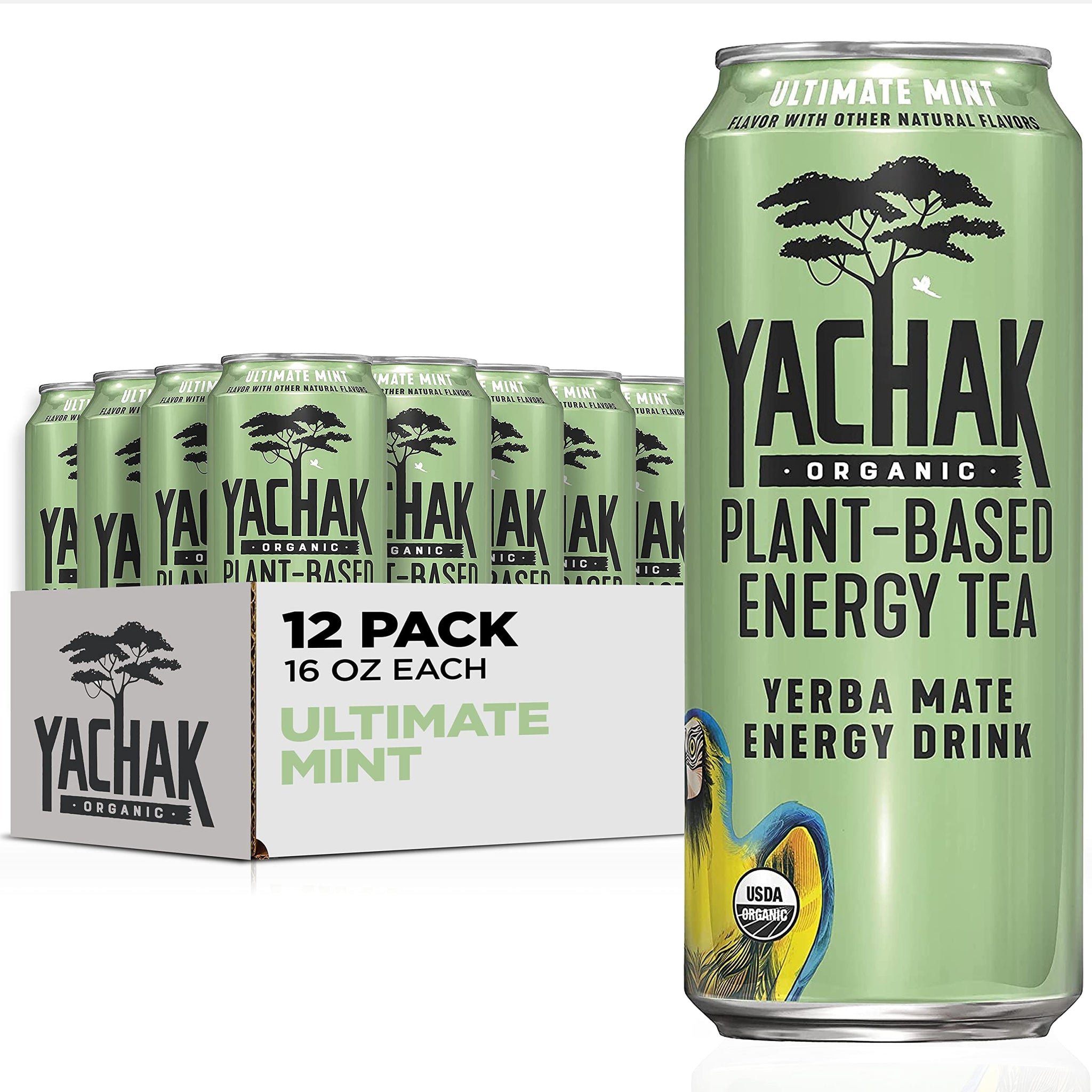 Yachak Yerba Mate Drink, Ultimate Mint, Packaging May Vary, 16 Fl Oz, Pack of 12