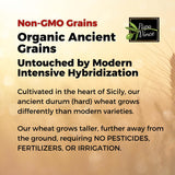 Papa Vince Organic Whole Wheat Spaghetti Noodles - Made in Italy, Non-Enriched, No Folic Acid - Organic Ancient Grain Pasta, Non-GMO, Artisan Bronze