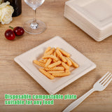 Bgtecho 125 Pack Compostable Square Plates,6 Inch Disposable Paper Plate,Heavy Duty Square Paper Plates,Biodegradable Bagasse Plate for Party Picnic