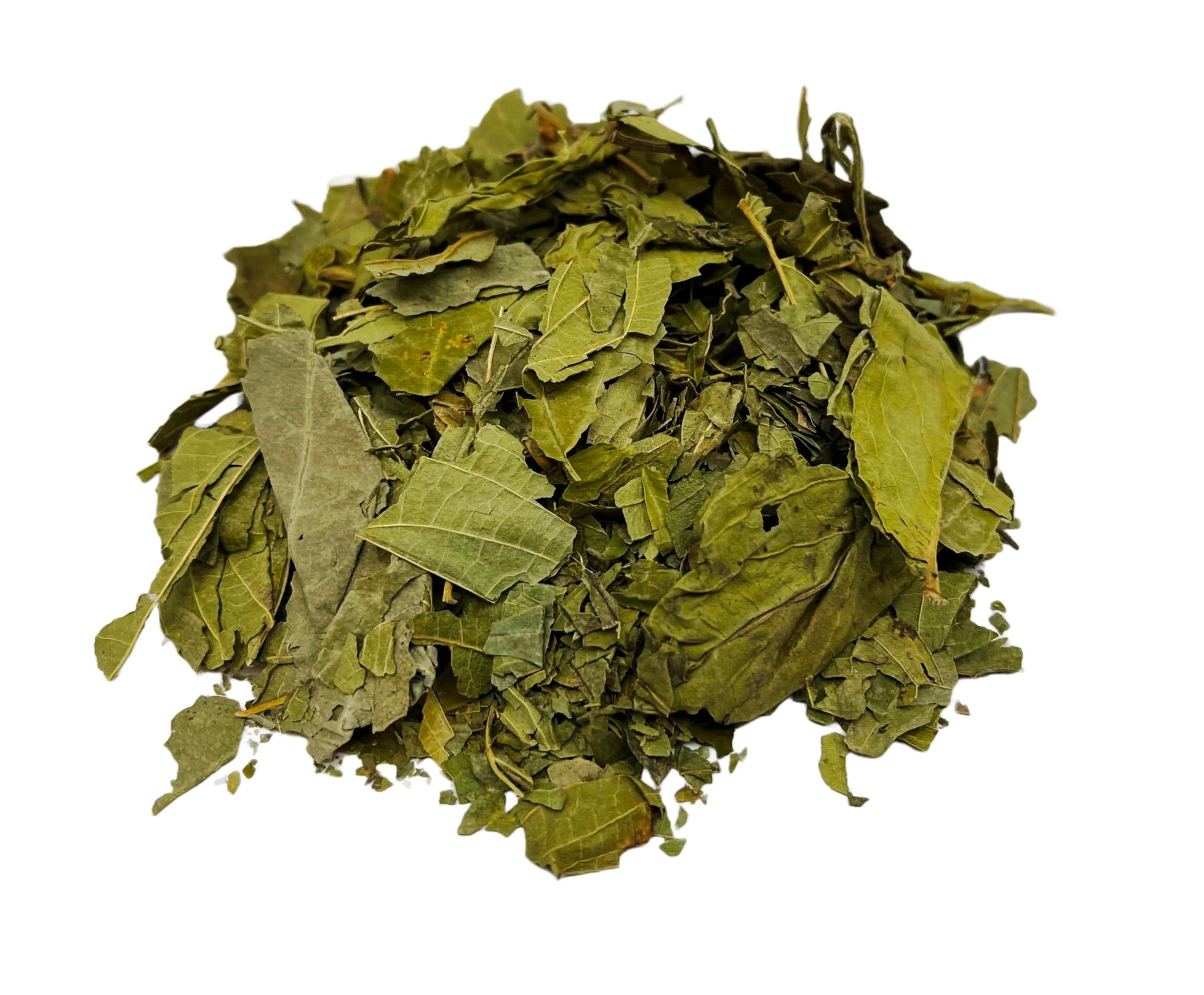 Matico Herbal Tea Value Pack (60g) (Piper aduncum L )
