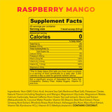 REDMOND Re-Lyte Energy Electrolyte Mix, Raspberry Mango, 8.6oz Jar