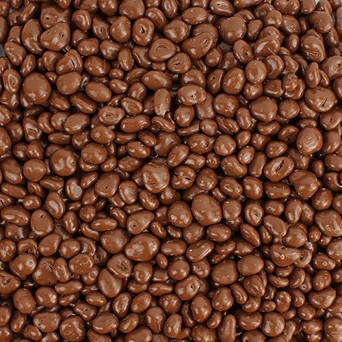 Milk Chocolate Covered Cranberries, Gourmet, Antioxidant Rich Bulk Chocolate Cranberries, by Queen City Candy Cave (8 oz)