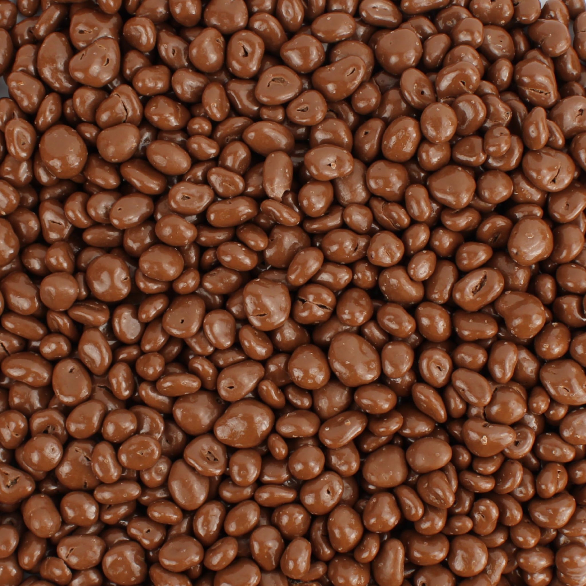 Milk Chocolate Covered Cranberries, Gourmet, Antioxidant Rich Bulk Chocolate Cranberries, by Queen City Candy Cave (8 oz)