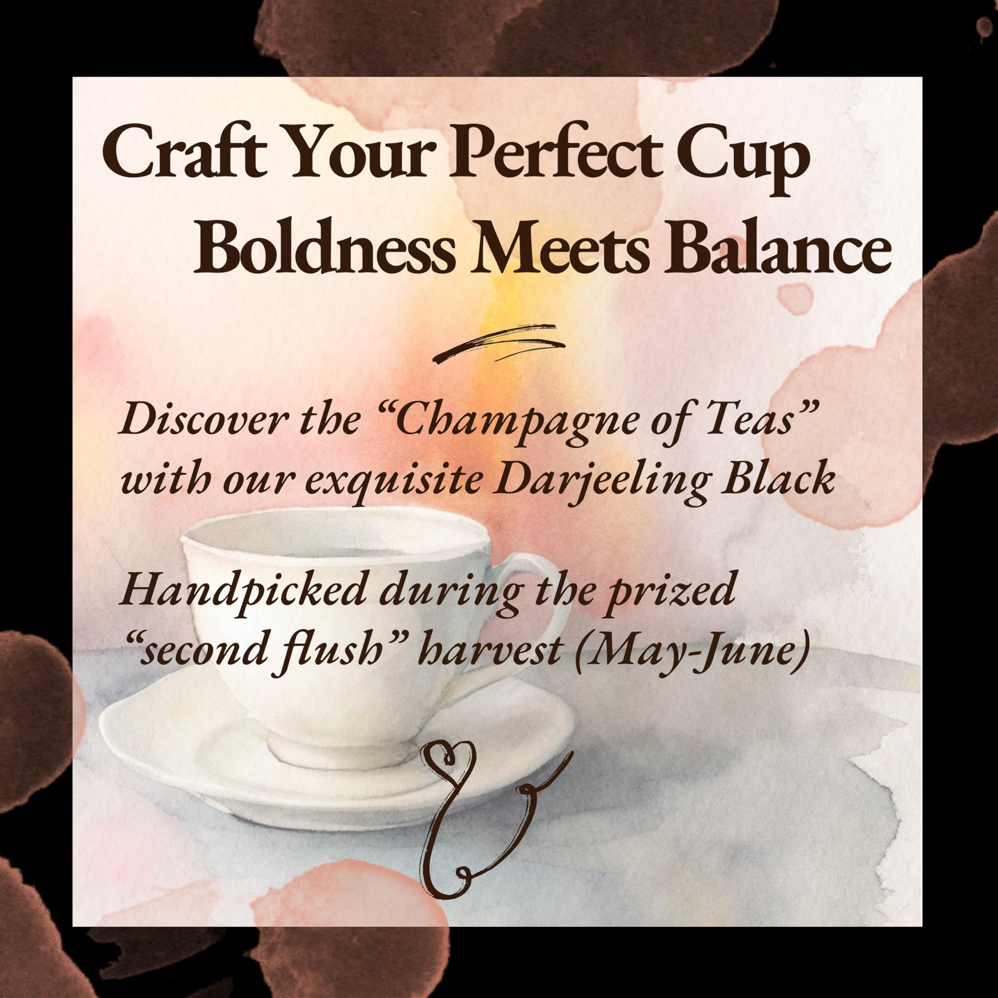 Sattva Tea Co | Darjeeling Black Tea | 100g/3.5oz Loose Leaf (Makes 40+ Cups) | Lightly Oxidized | Delicately Nuanced Flavors Tones Of Apricot