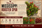 Mississippi Red Pepper Sauce, 12 oz bottle, Hand-crafted well-balanced fermented hot sauce, with Hierloom Pepper Varierties