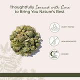 Starwest Botanicals Dried Hops Flowers Whole - Herb for Hot Water & Tea, Use in Herbal Blends, Natural Pine & Citrus Notes, Certified Kosher - 4 oz