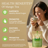 Palm Beach Medicinal Herbs - Mango Leaf Tea - Pure Herbal Tea Series, 30ct