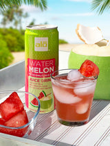 ALO Slim Can Juice | 80% Watermelon Juice + 20% Coconut Water | Plant-Based Beverage | Not from Concentrate | 10.8oz Cans (Pack of 12)