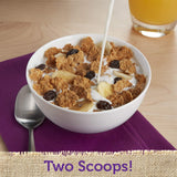 Kellogg's Raisin Bran Breakfast Cereal, Fiber Cereal, Made with Real Fruit, Original with Bananas, 15.9oz Box (1 Box)