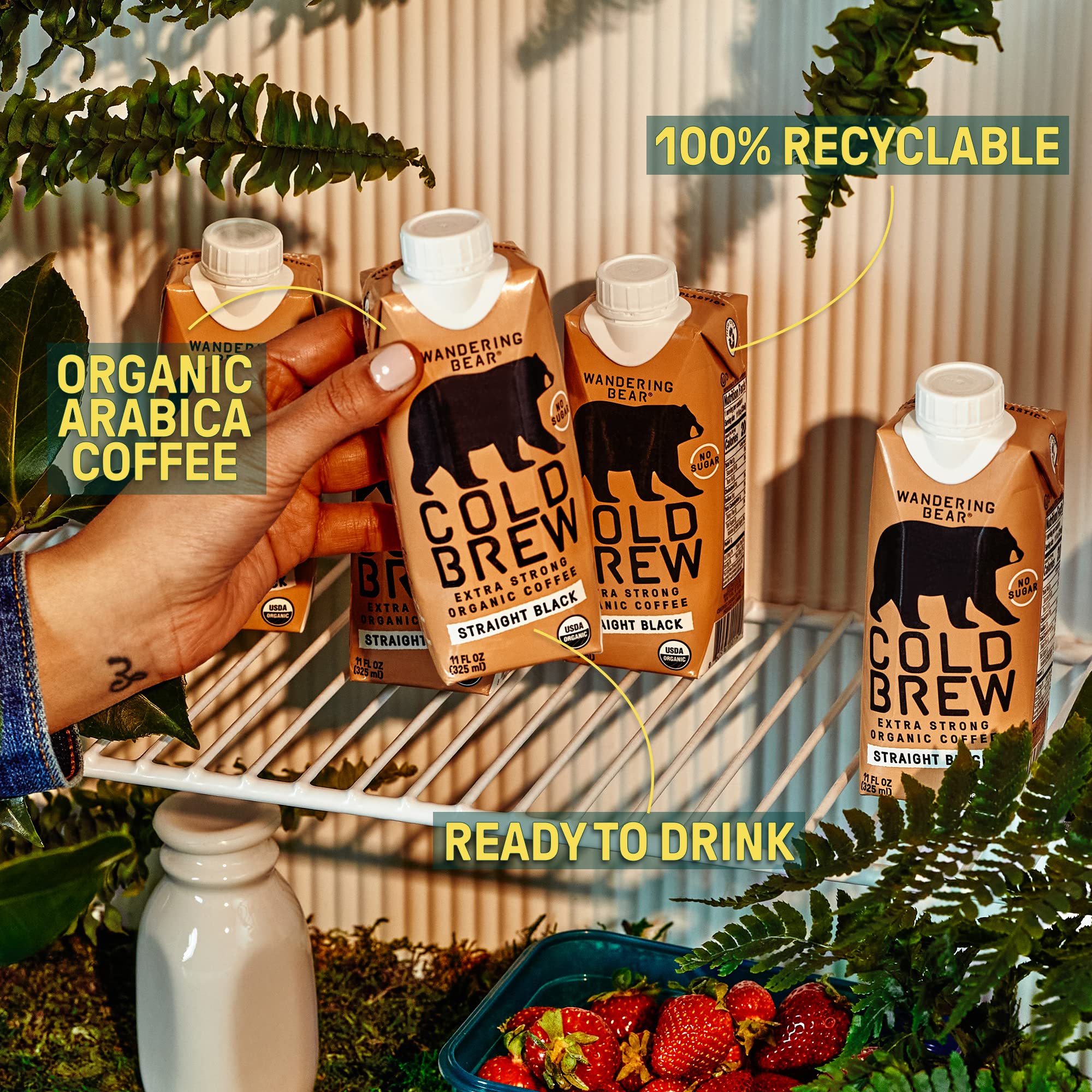 Wandering Bear Straight Black Organic Cold Brew Coffee On-the-Go - Extra Strong, Bold, Smooth, Unsweetened, Shelf-Stable, Ready to Drink, 100% Organic