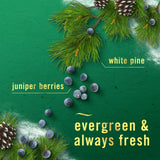 Febreze White Pine & Juniper Berry (Formerly Winter Spruce)