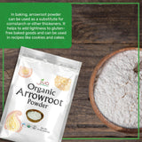 Jiva Organics Organic Arrowroot Flour (Powder) 8 Ounce Bag - Raw, Non-GMO, Gluten Free