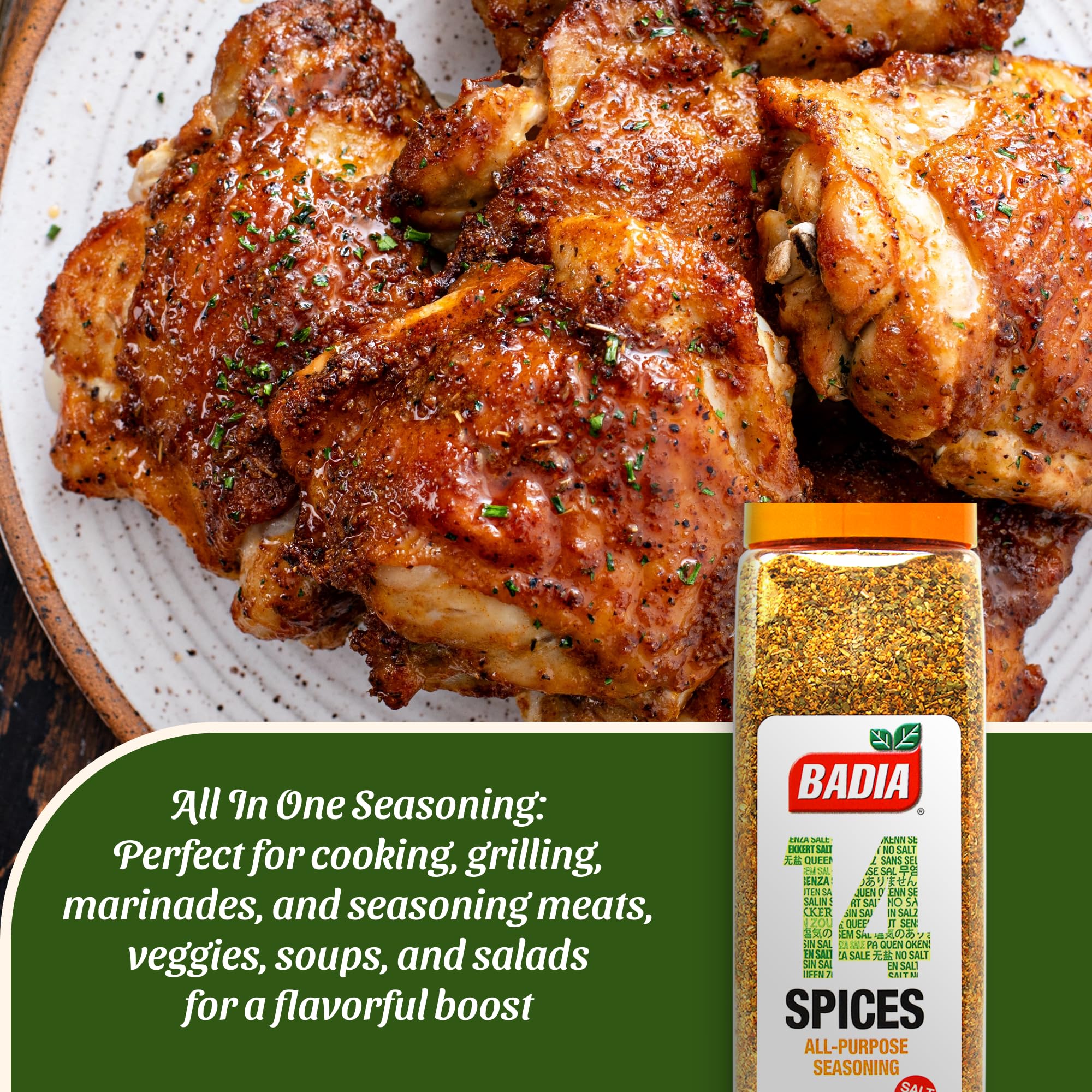 Badia 14 Spices Salt-Free All Purpose Seasoning, 20 oz - Savory Blend of Garlic, Onion, Herbs, Spices & Peppers